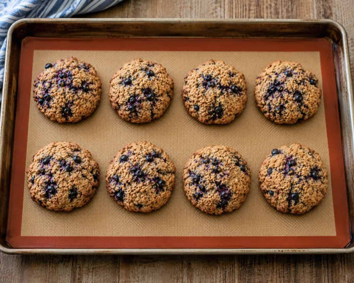 Fresh baked blueberry bran muffin tops on silpat lined baking sheet.