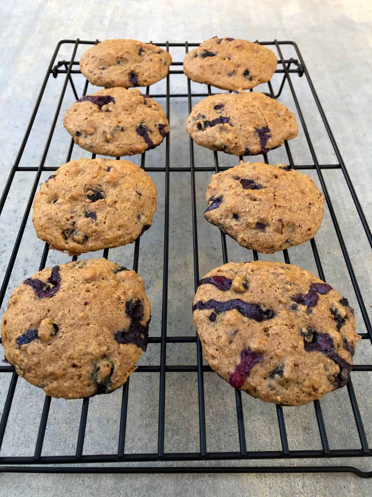 Fresh baked blueberry bran muffin tops on wire rack.