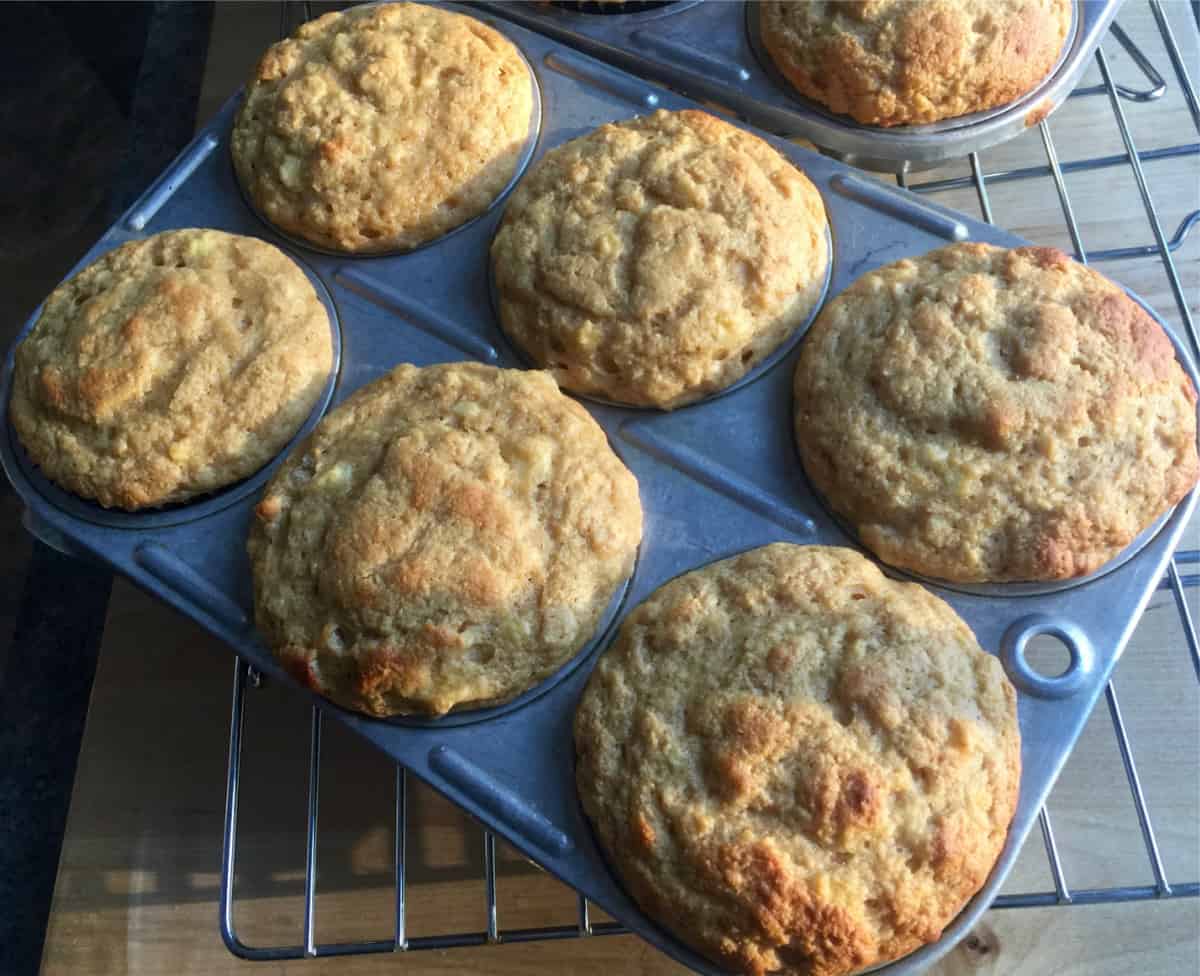 Fresh baked Kodiak Cakes Muffins