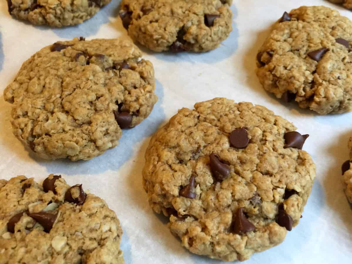 Flourless Peanut Butter Oatmeal Chocolate Chip Cookies Gluten Free Laptrinhx News
