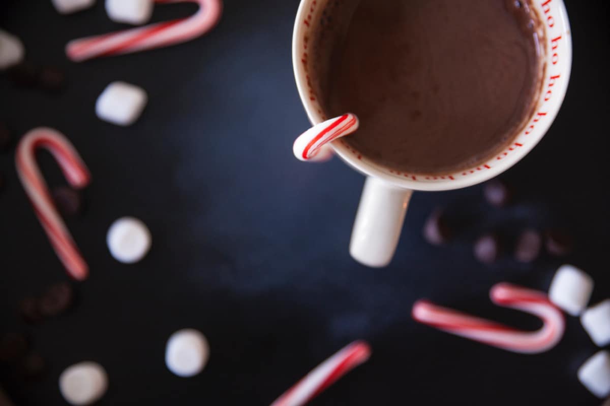 Mug of hot chocolate with candy canes and mini marshmallows.