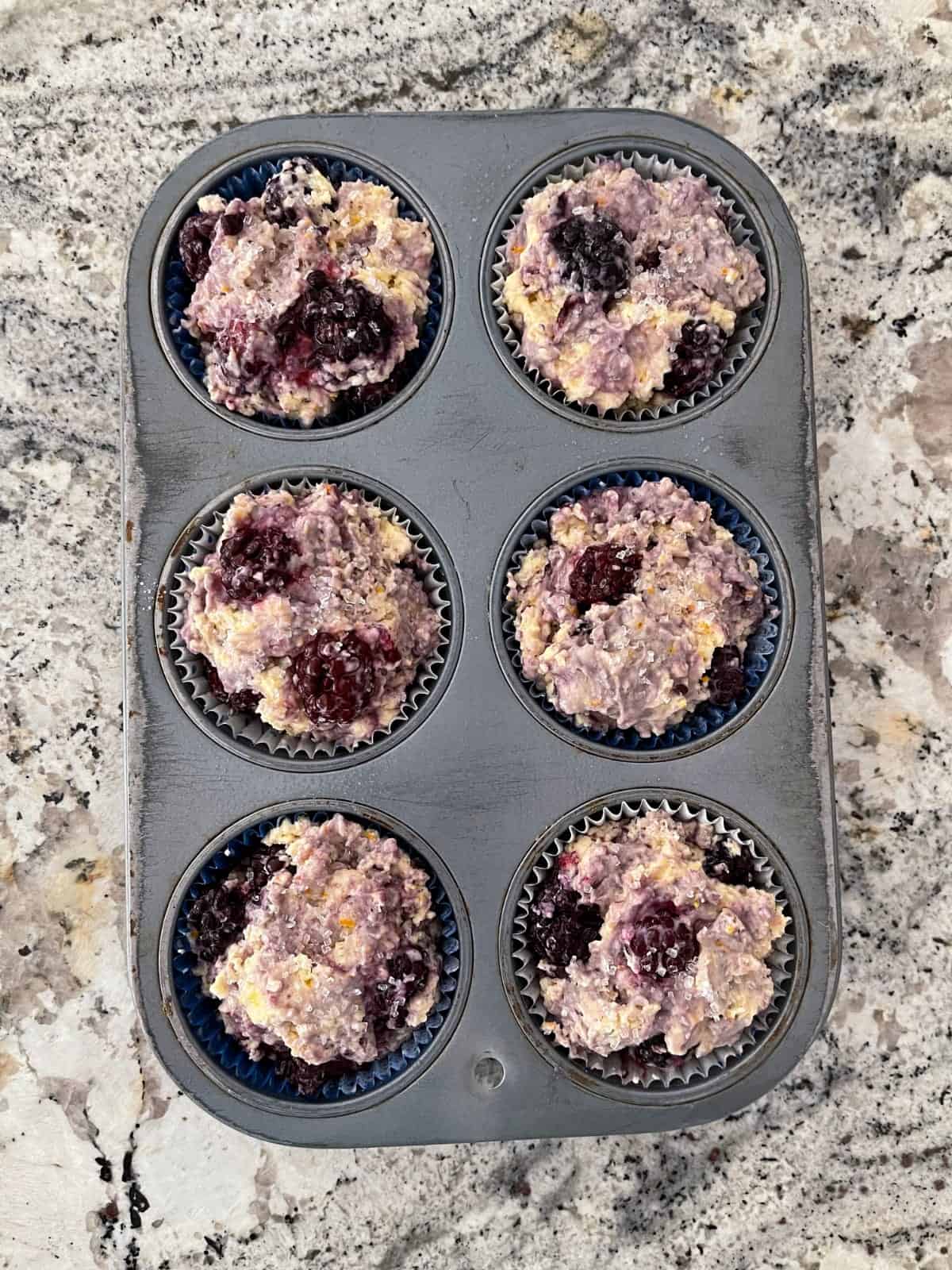 Unbaked blackberry muffins in muffin pan.