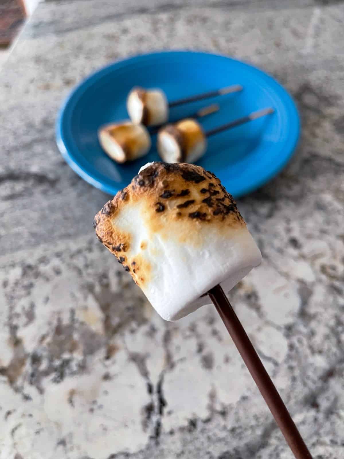 Pocky s'mores stick up close with platter of smores sticks on blue plate in background.