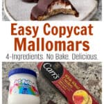 Easy Copycat Mallomar Cookies Pin with Text & Ingredients