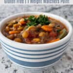 Blue striped bowl bowl filled with Vegetarian Lentil Minestrone Soup garnished with Parsley