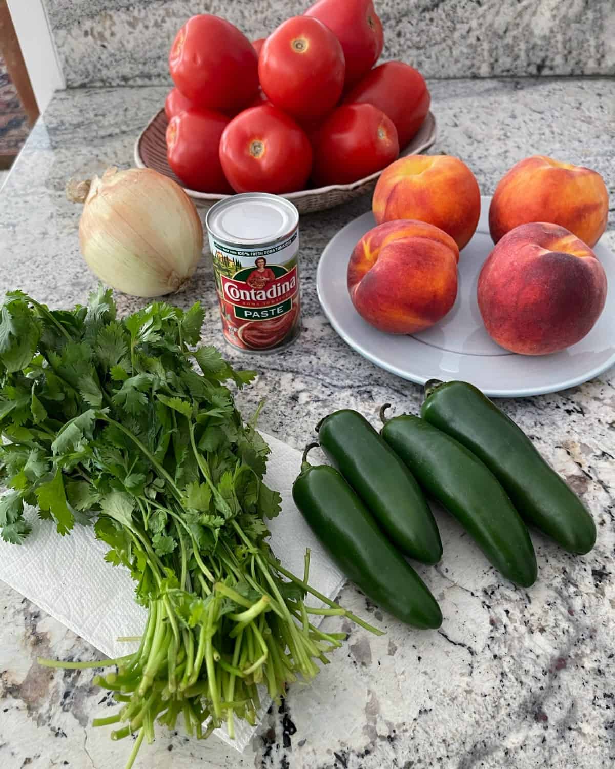 Ingredients including Roma tomatoes, fresh peaches, jalapeño peppers, bunch of cilantro, onion and can of tomato paste.