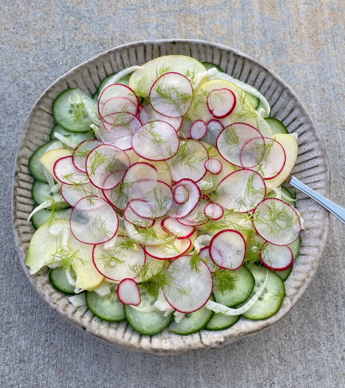 Shaved fennel salad with English cucumber slices, radish and Honeycrsip apples in brown serving dish with spoon.
