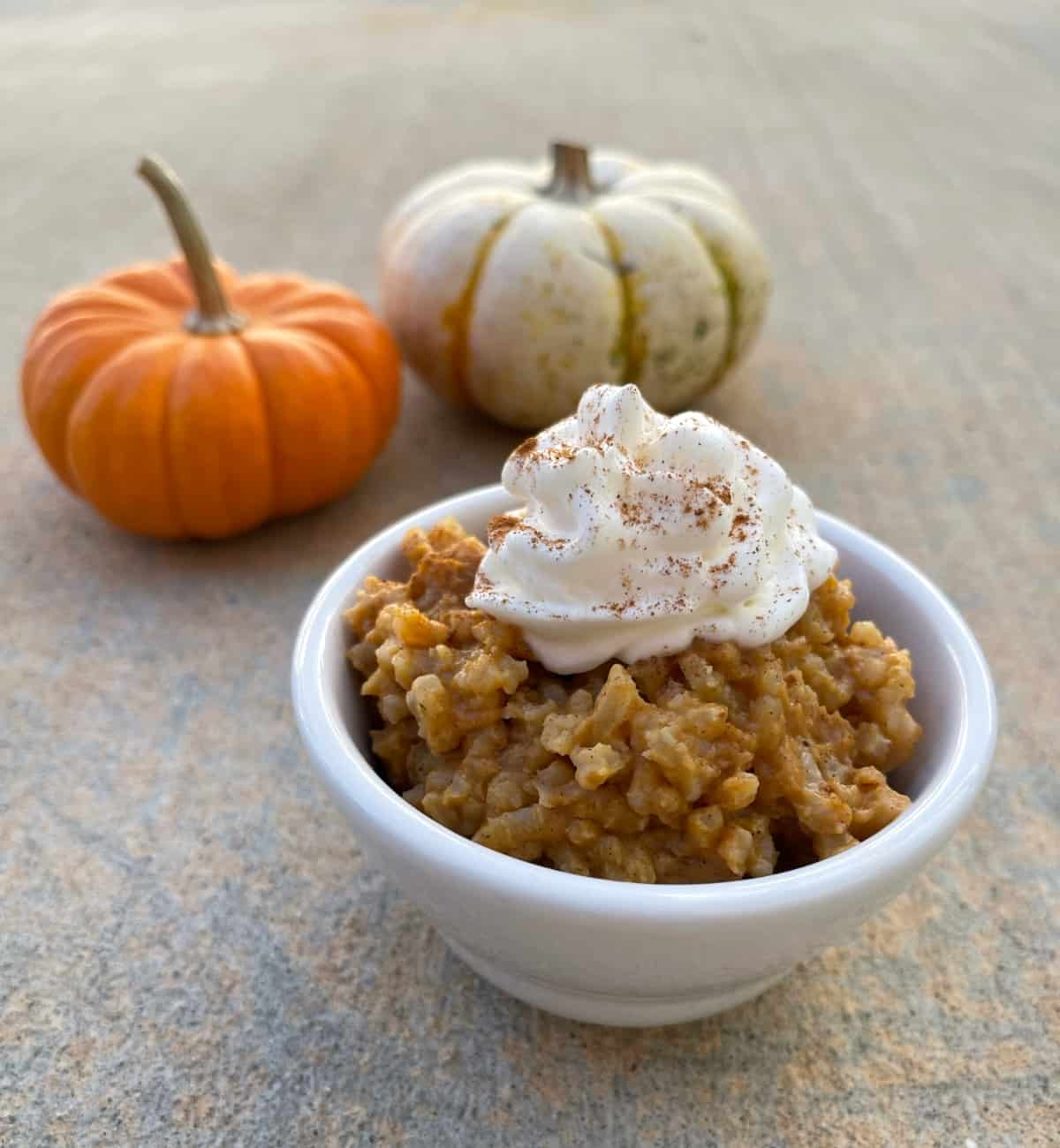 Pumpkin rice pudding topped with whipped cream in front of two small pumpkins.