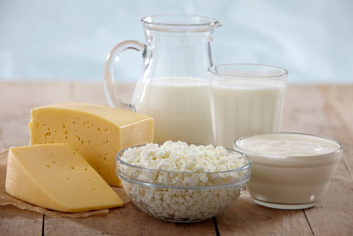 a photo still life of dairy rich foods
