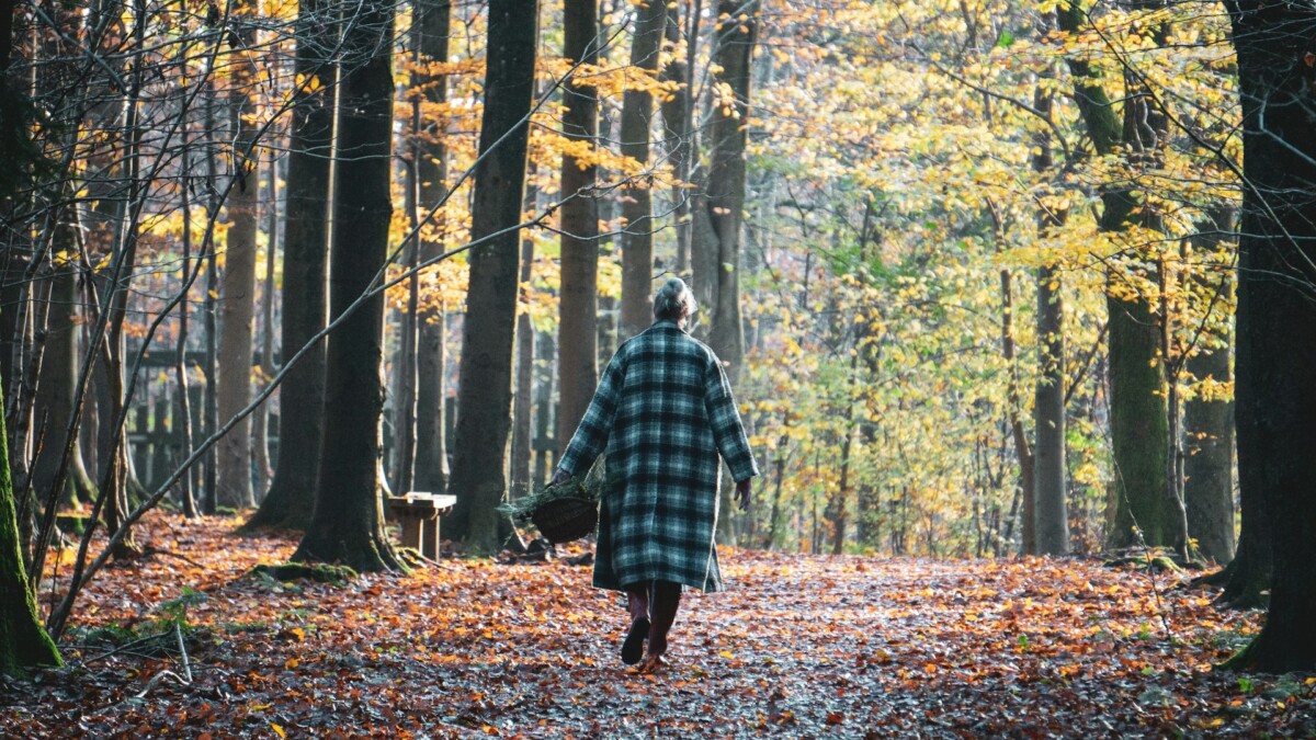 woman walking leaf covered path