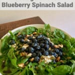 spinach salad with cottage cheese and blueberries for Pinterest PIN