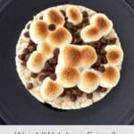 Rice Cake S'mores on dark plate shot from above