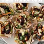 Plate of Asian Chicken Salad Wonton Cups shot from above with text overlay for Pinterest PIN