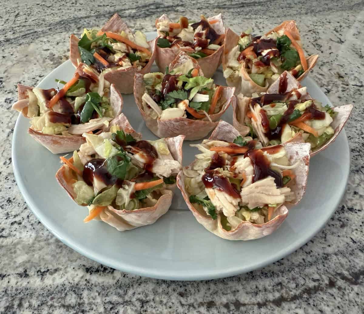 Asian chicken salad wonton cups on small round plate.